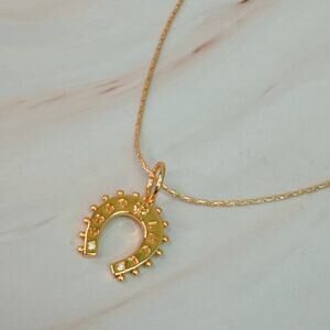 Lucky Lovely Horseshoe Equestrian Western Rodeo Lucky Necklace